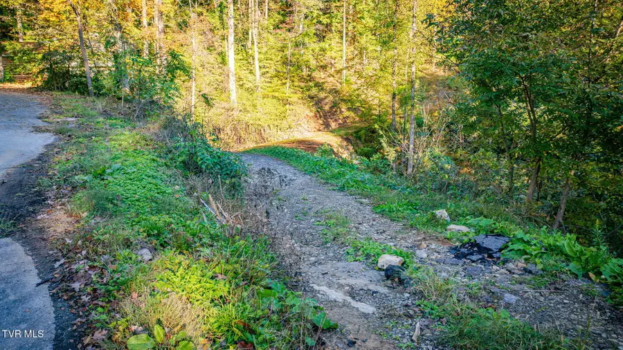 Tbd Lot 119 Saratoga Circle, Elizabethton, TN 37643 - #2