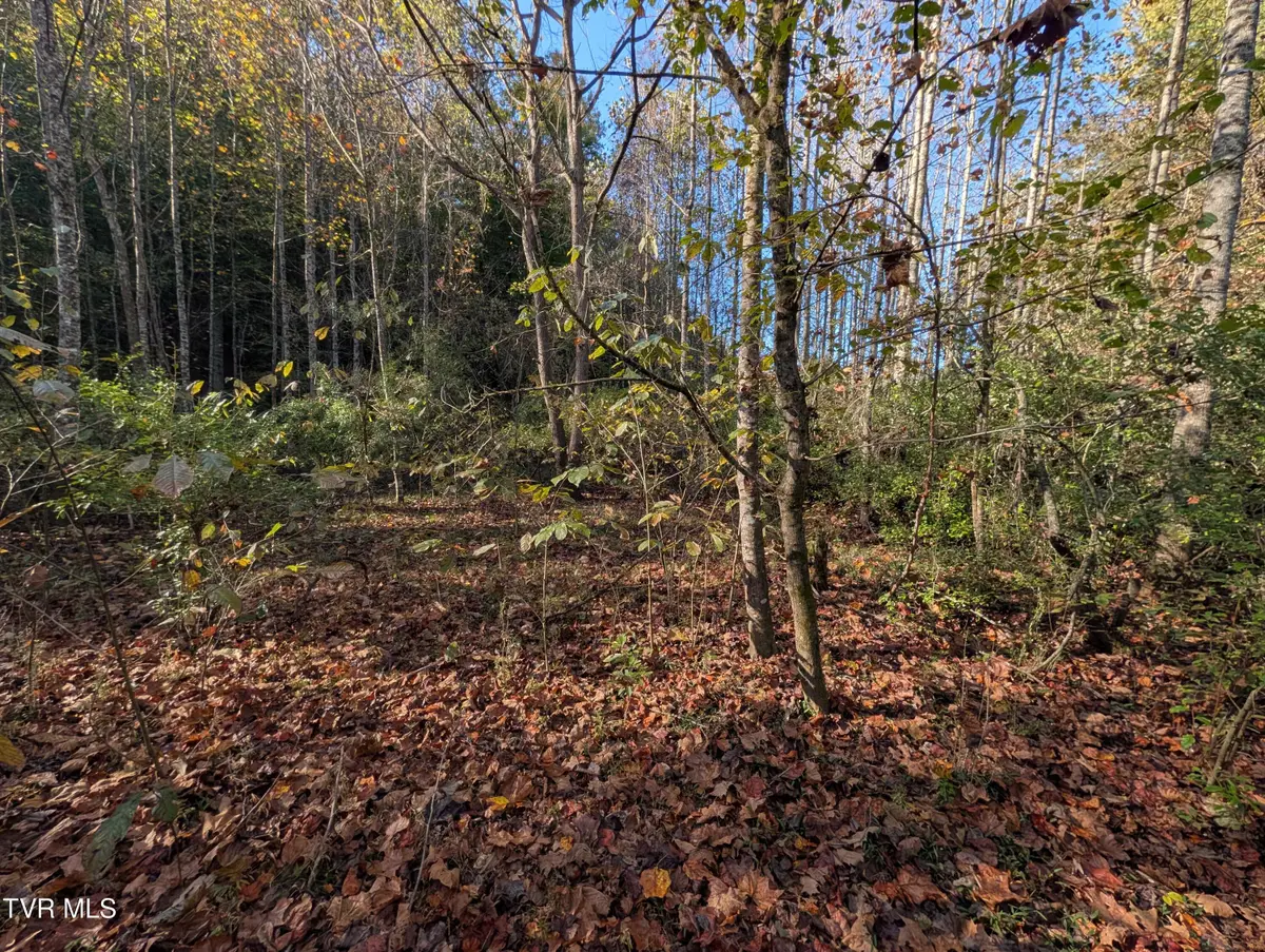 Tbd Clinch River Highway, Fort Blackmore, VA 24250 - #1