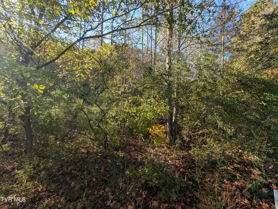 Tbd Clinch River Highway, Fort Blackmore, VA 24250 - #2