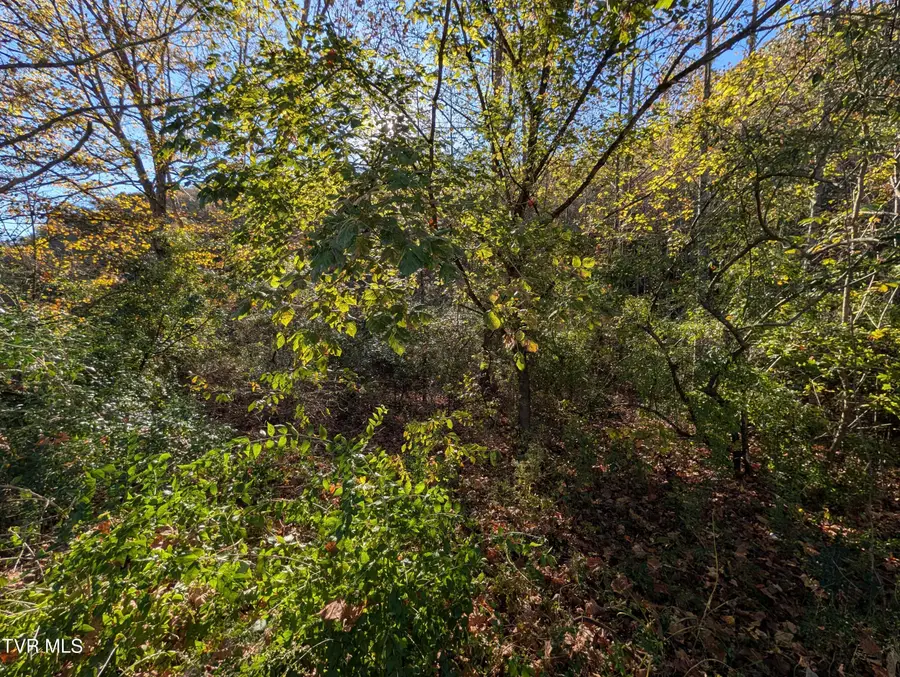 Tbd Clinch River Highway, Fort Blackmore, VA 24250 - #3