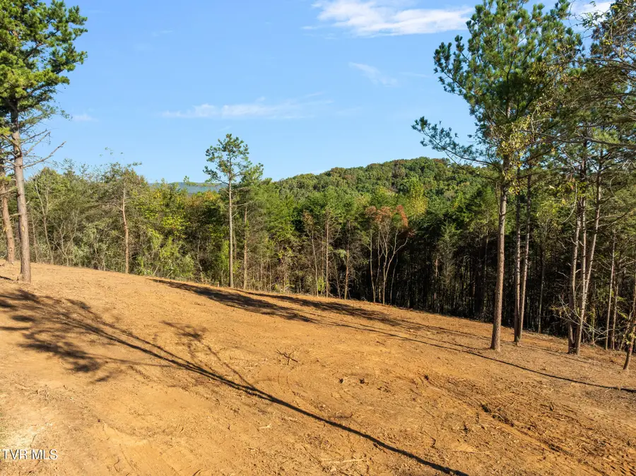 Tbd West Hills Drive #Lot 2, Mosheim, TN 37818 - #2