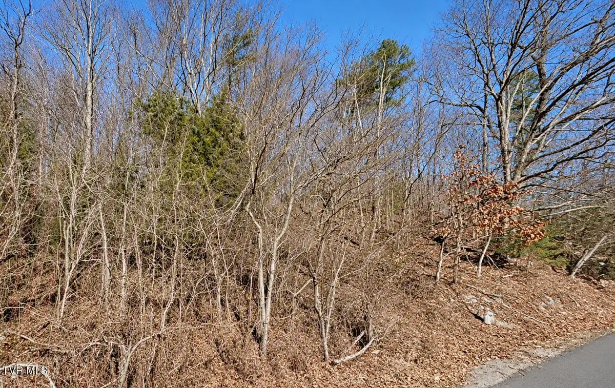 Tbd A P Carter Highway, Hiltons, VA 24258 - #1