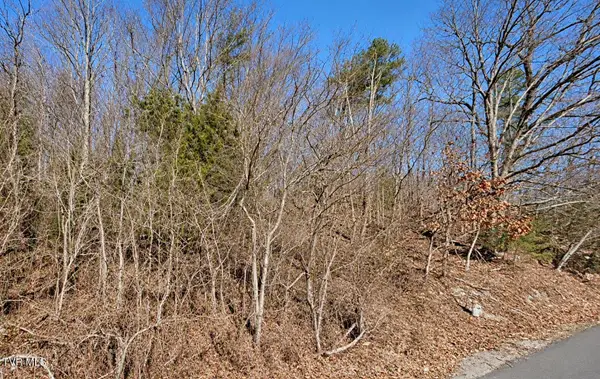 Tbd A P Carter Highway, Hiltons, VA 24258