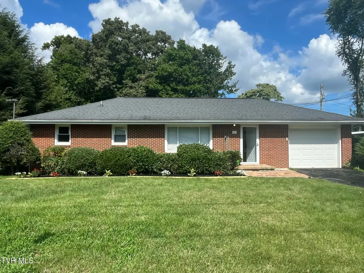 722 Rose Lane, Mount Carmel, TN 37645 - #1