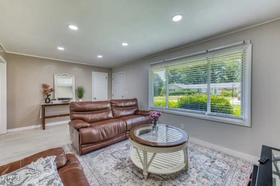 722 Rose Lane, Mount Carmel, TN 37645 - #3