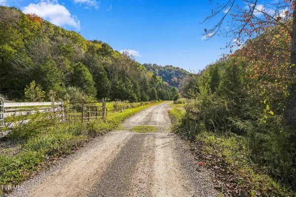 Tbd Seven Springs Hollow Road, Castlewood, VA 24224