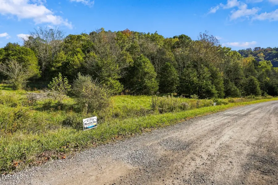 Tbd Seven Springs Hollow Road, Castlewood, VA 24224 - #2