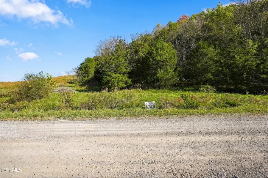 Tbd Seven Springs Hollow Road, Castlewood, VA 24224 - #3
