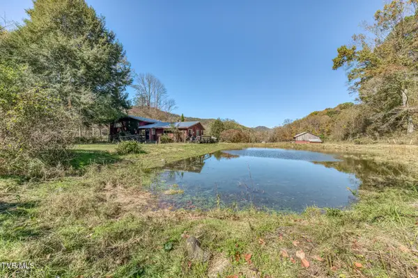 451 Heaton Creek Road, Roan Mountain, TN 37687