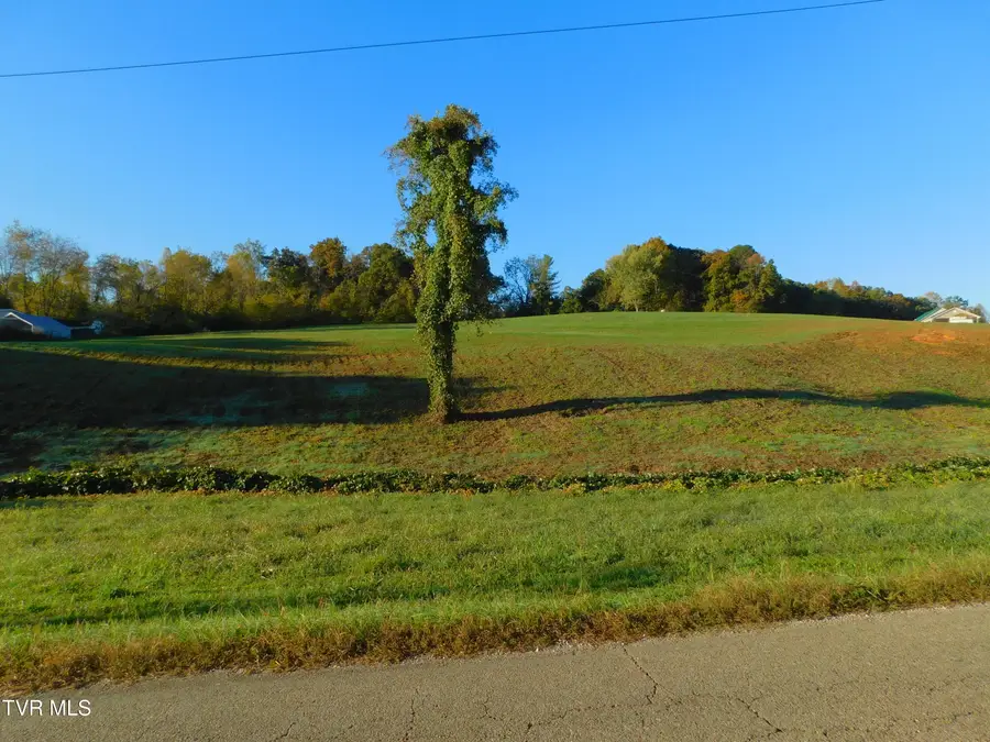 0 Mt Carmel Road, Mosheim, TN 37818 - #2