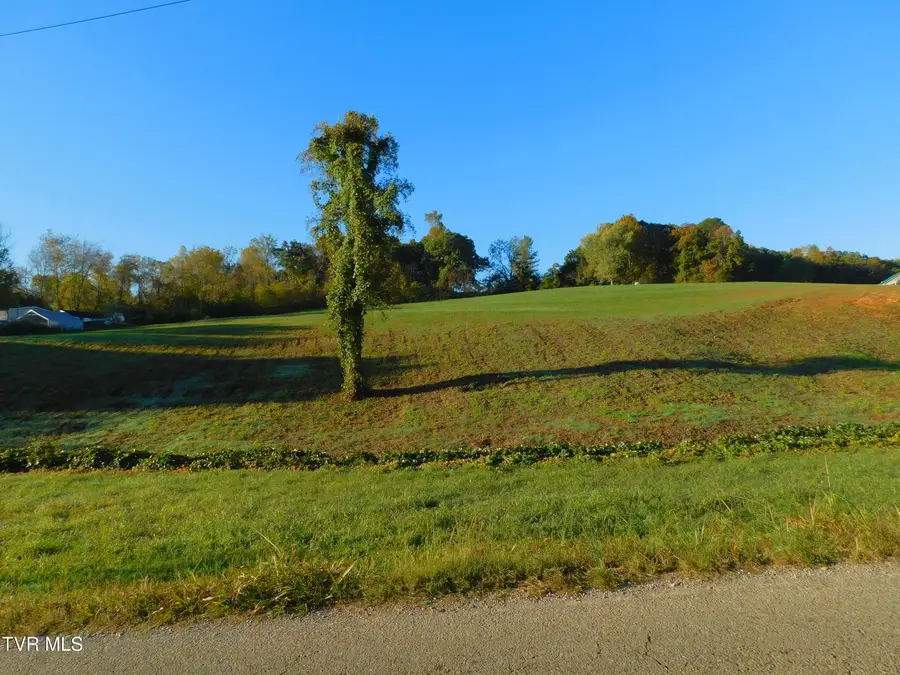 0 Mt Carmel Road, Mosheim, TN 37818 - #3