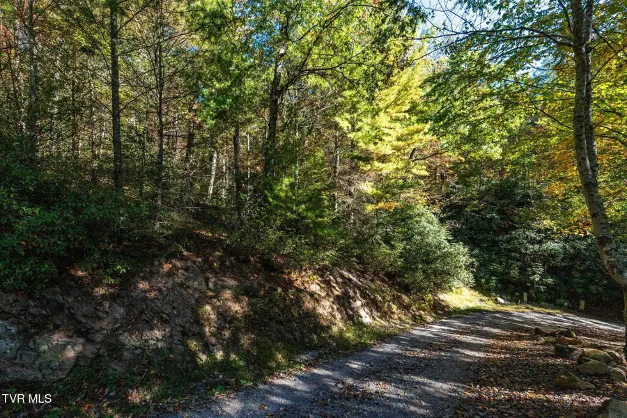 Tbd Shiloh Road, Butler, TN 37640 - #3