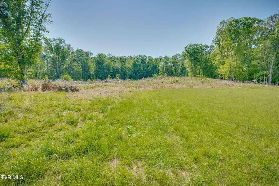 0 Main Street, Surgoinsville, TN 37873 - #2