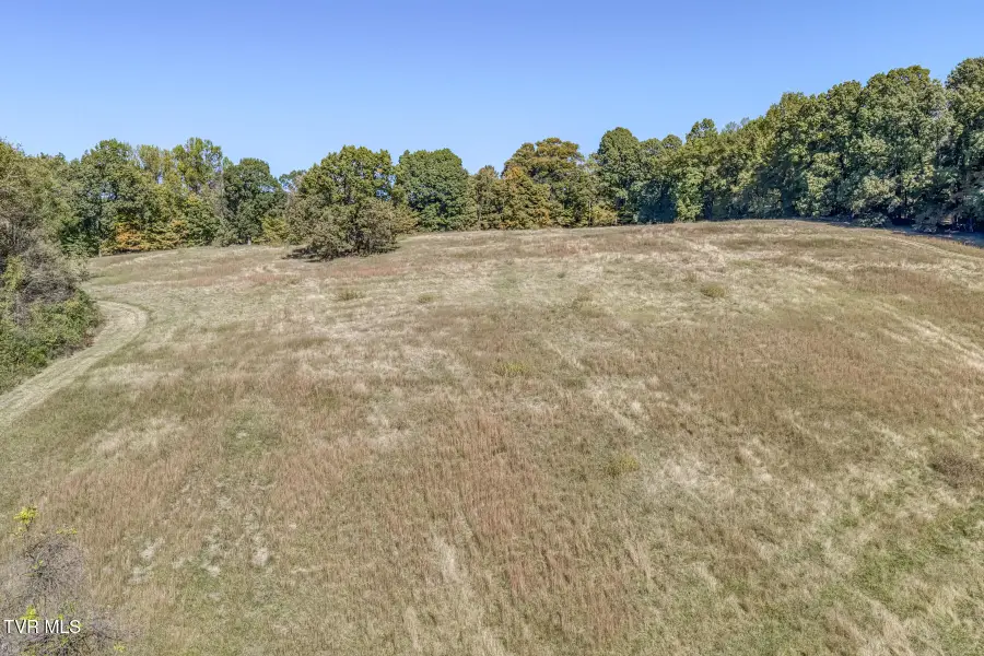 1520 Brittontown Road, Afton, TN 37616 - #2