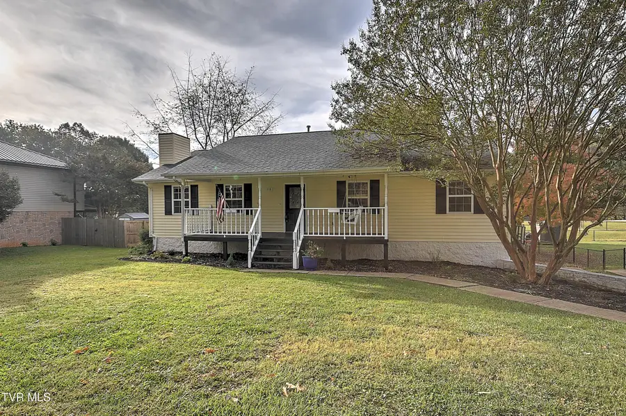 115 Hawk Lane, Gray, TN 37615 - #3