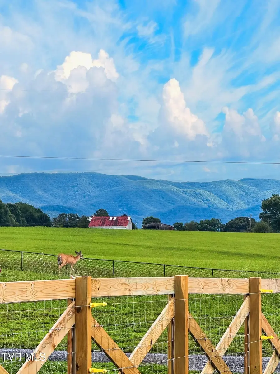 1890 Earnest Road, Chuckey, TN 37641 - #2
