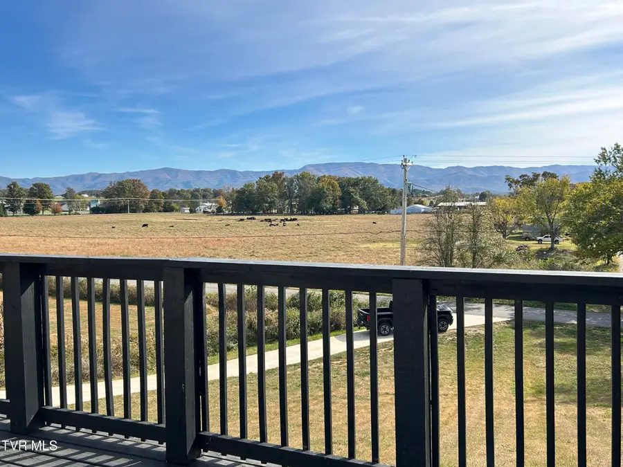 166 Ebenezer Road, Chuckey, TN 37641 - #3