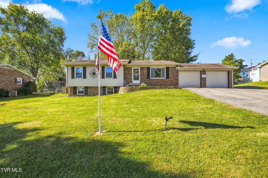 253 Sycamore Drive, Bluff City, TN 37618 - #3
