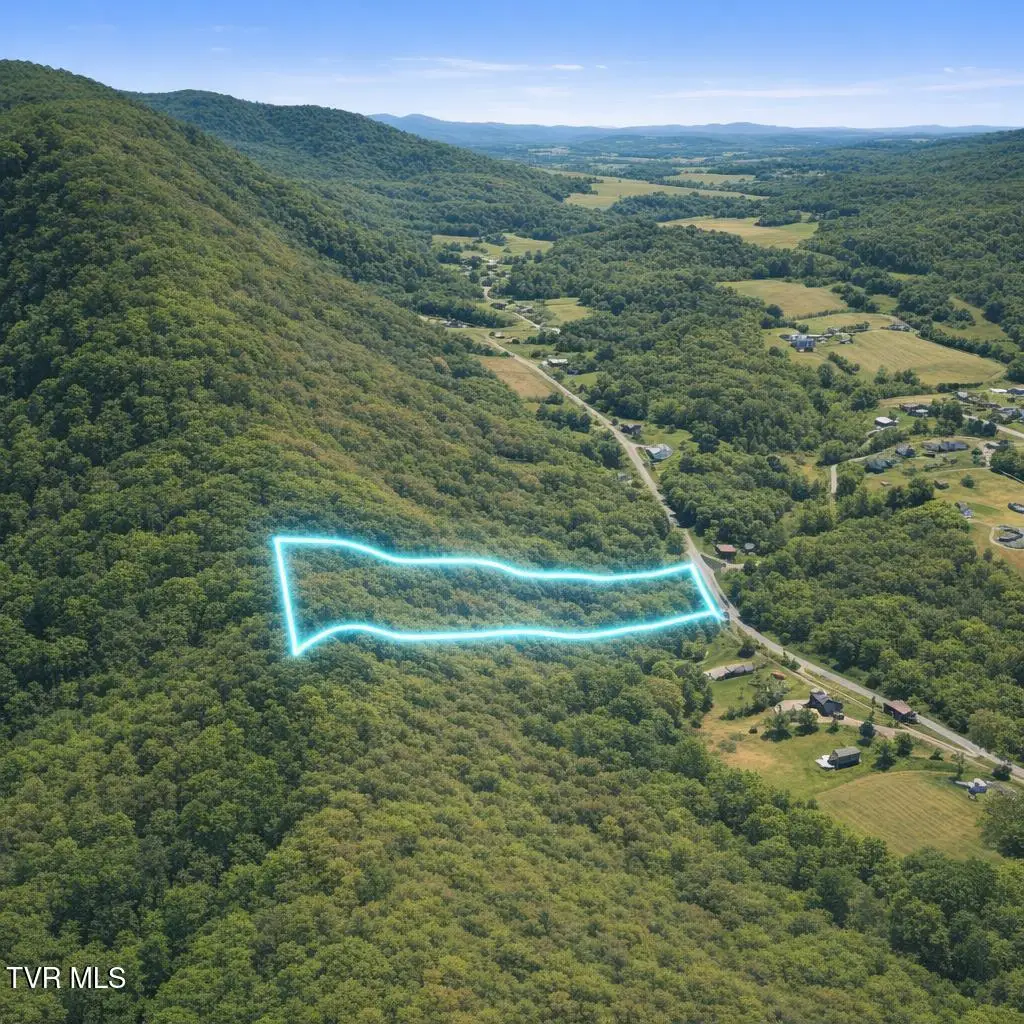 1128 Blue Springs Road, Elizabethton, TN 37643 - #1