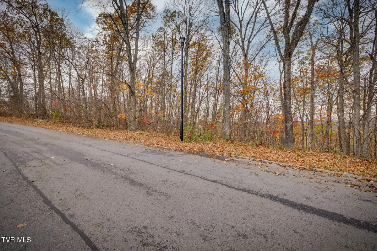 454 Hidden Acres Road, Kingsport, TN 37664 - #1