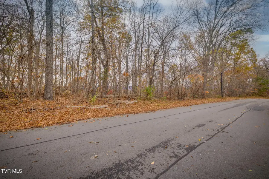 454 Hidden Acres Road, Kingsport, TN 37664 - #2