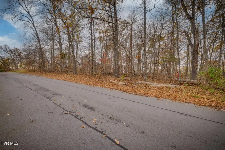 454 Hidden Acres Road, Kingsport, TN 37664 - #3