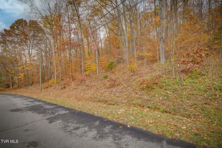 Tbd Oak Forest (lot 25) Place, Kingsport, TN 37664 - #2