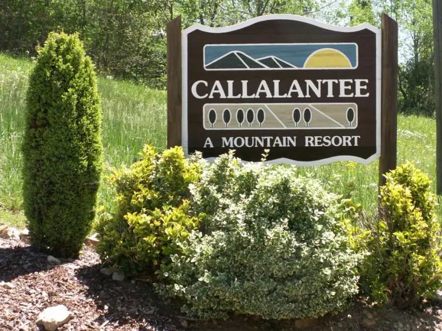 Tbd Callalantee Drive, Mountain City, TN 37683 - Image #2