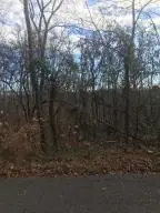 0 Ridgeheights Drive, Gray, TN 37615 - Image #2