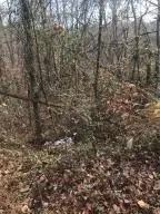 0 Ridgeheights Drive, Gray, TN 37615 - Image #3