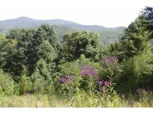 Tbd Arrowhead Trail, Mountain City, TN 37683 - #2
