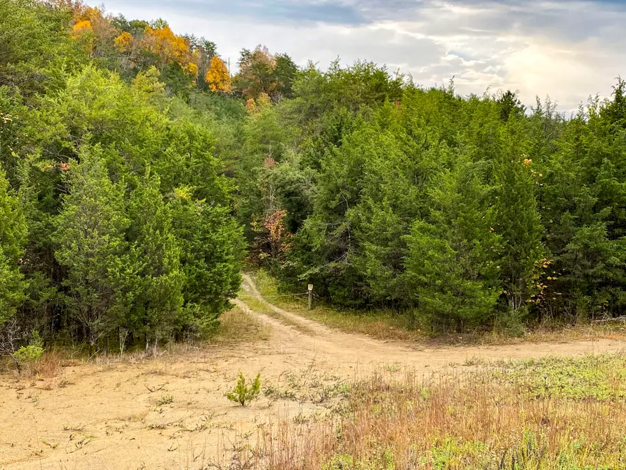 0 Parrotts Chapel Road, Sevierville, TN 37876 - Image #2