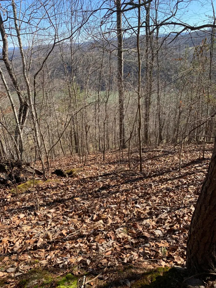 Lot 83 Ridgecrest Road, New Tazewell, TN 37825 - Image #2