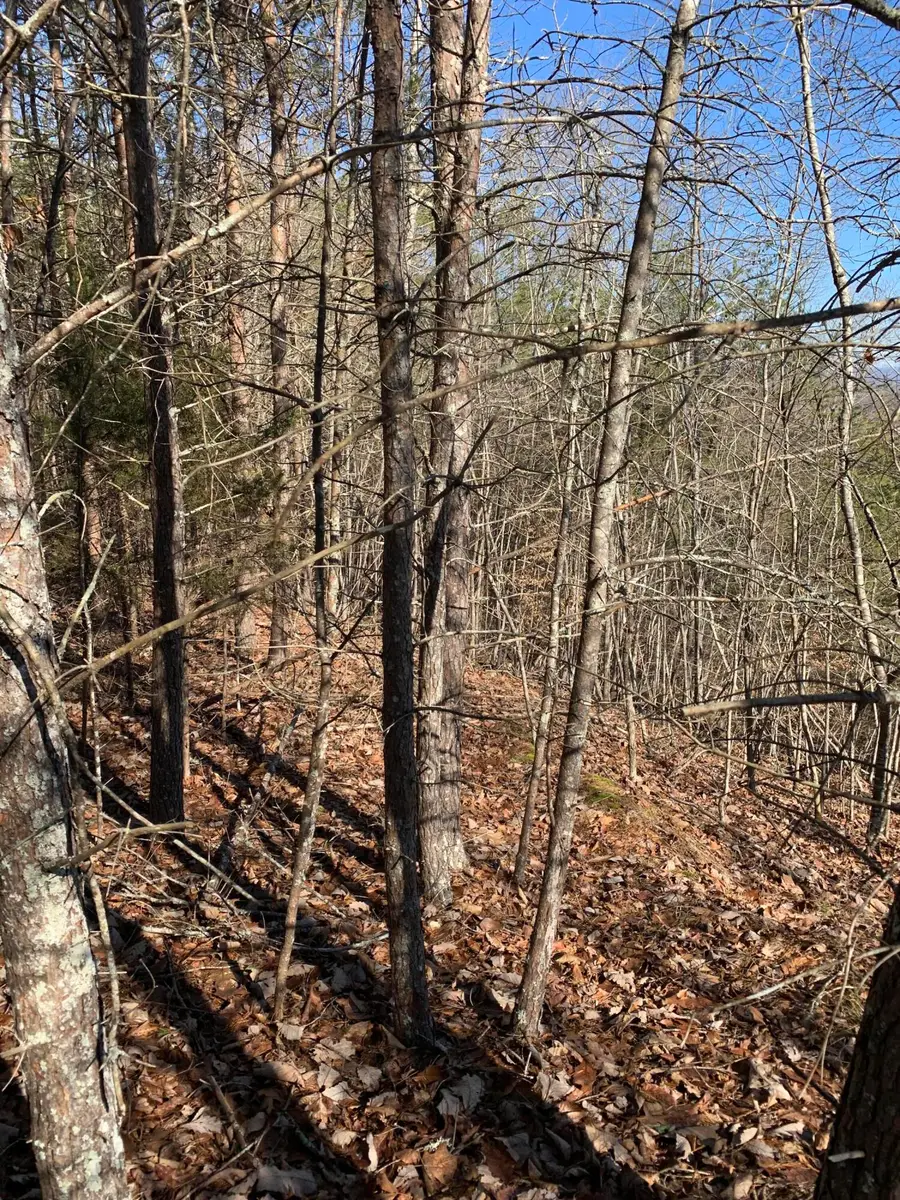 Lot 83 Ridgecrest Road, New Tazewell, TN 37825 - Image #3