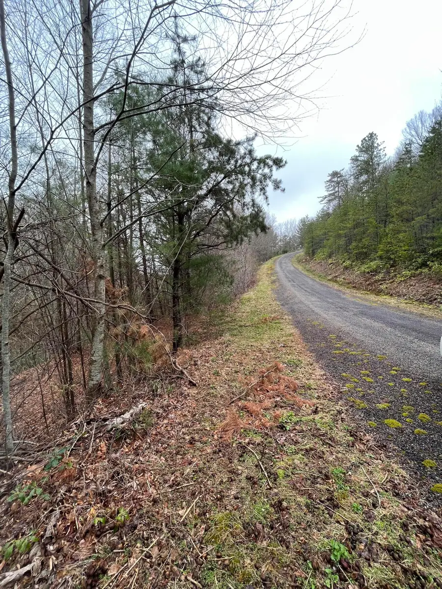 Tbd Locust Gap Road, Mountain City, TN 37683 - Image #3