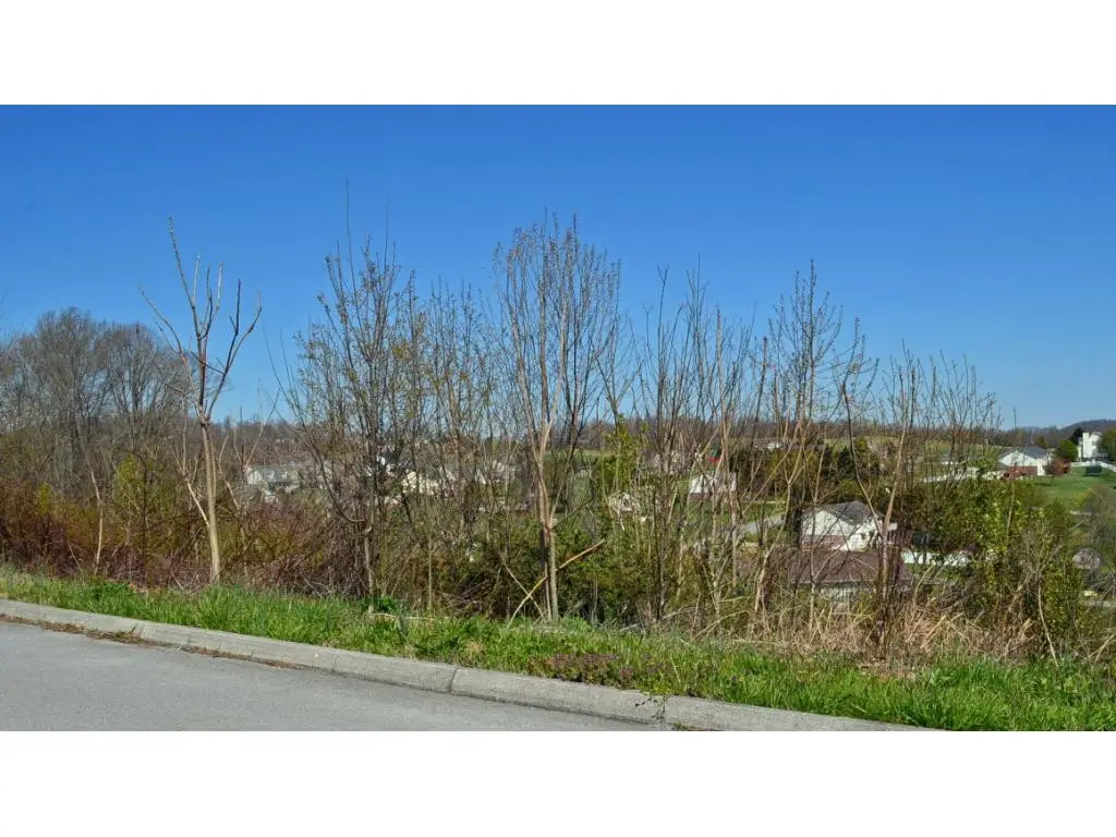 208 Alfalfa Lane, Jonesborough, TN 37659 - #1