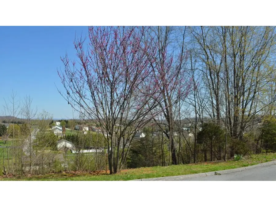 208 Alfalfa Lane, Jonesborough, TN 37659 - #2