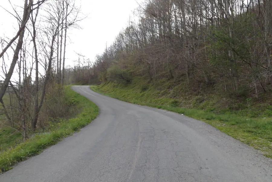 0 Buffalo Hollow, Castlewood, VA 24224 - Image #3