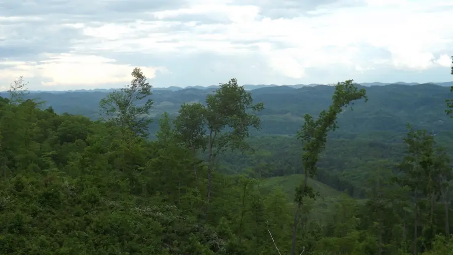 0 Osborne Ridge Road, Dungannon, VA 24245 - Image #2