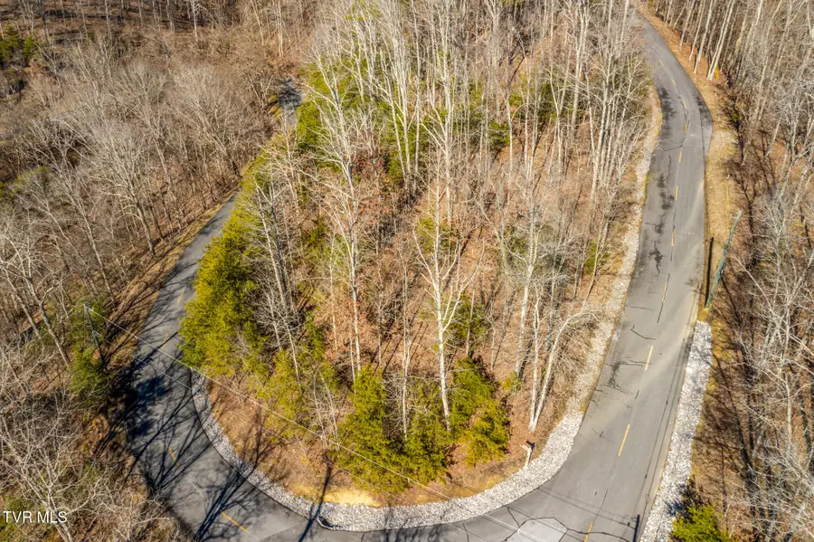 1324 Muskogee Drive, Mooresburg, TN 37811 - Image #2