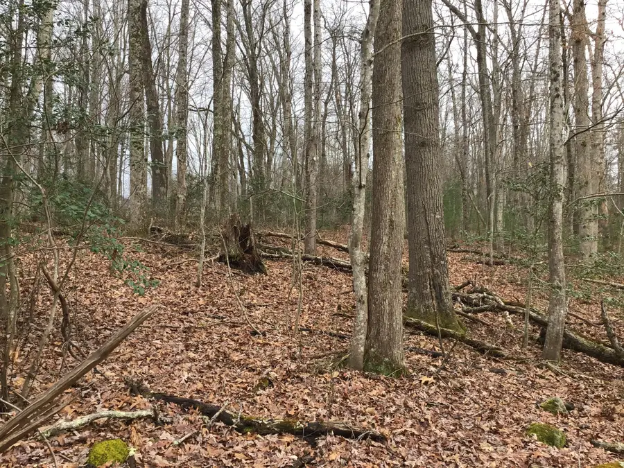 Tbd Patterson Avenue, Wise, VA 24293 - #3