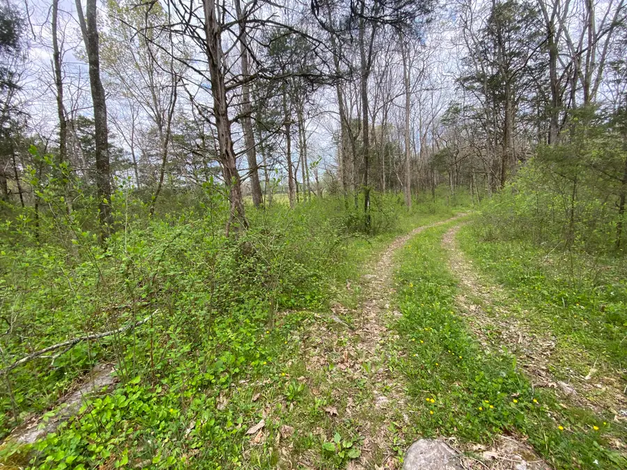 Tbd Melzoni Road, Pennington Gap, VA 24277 - Image #2