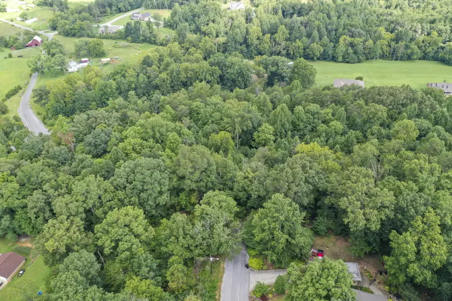 Lot 71 Central North Avenue, Church Hill, TN 37642 - Image #2