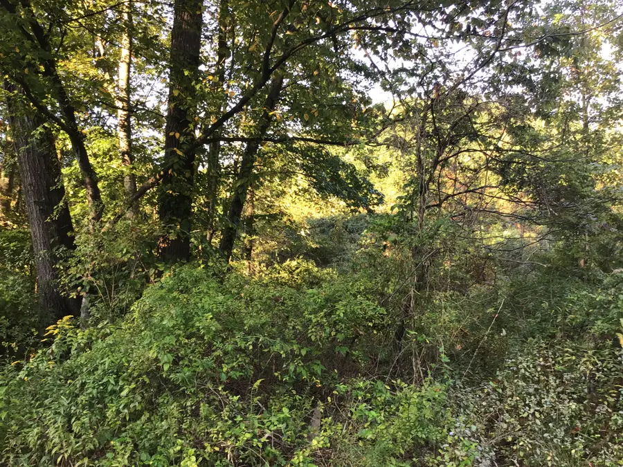 Tbd South Us Hwy 23, Wise, VA 24293 - Image #2