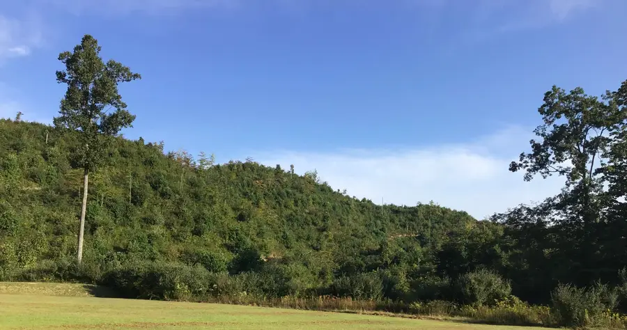 Tbd South Us Hwy 23, Wise, VA 24293 - Image #3