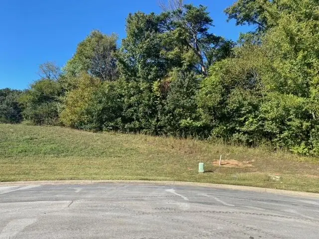 Lot 55 Tucker Court, Greeneville, TN 37743 - Image #3