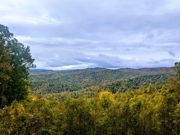 403 Chestnut Circle, Butler, TN 37640