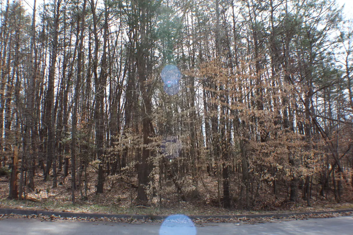 2030 Scenic Pointe Place, Church Hill, TN 37642 - Image #1