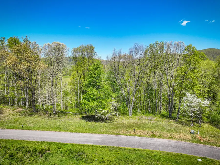 Lot 41 W Of Dry Hill Road, Butler, TN 37640 - #2