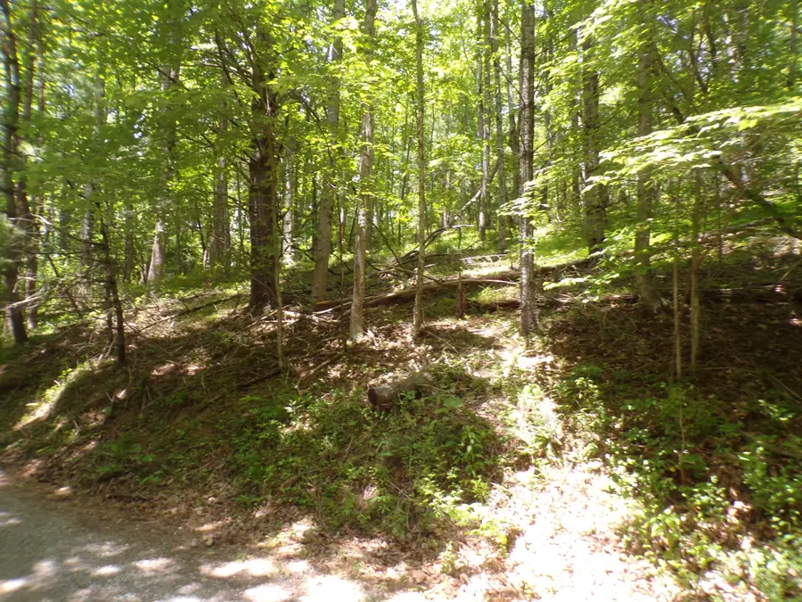 140 Moody Circle, Butler, TN 37640 - #2